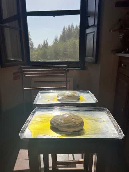 Dough proofing