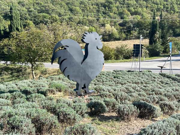 Chianti Rooster
