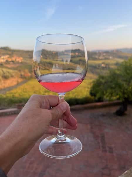 Rose wine at villa