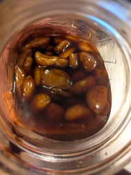 Honey fermented garlic