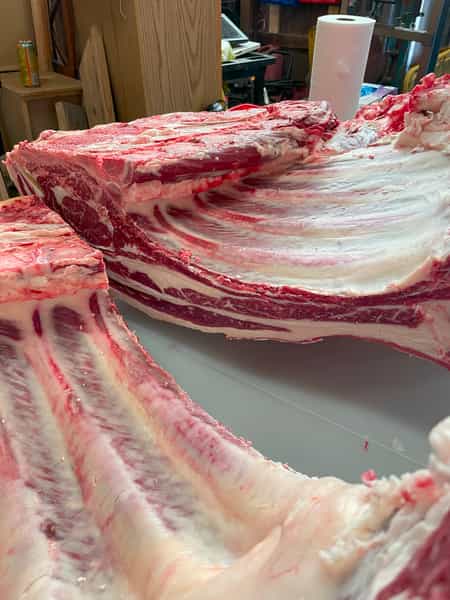 Breaking down forequarter of beef
