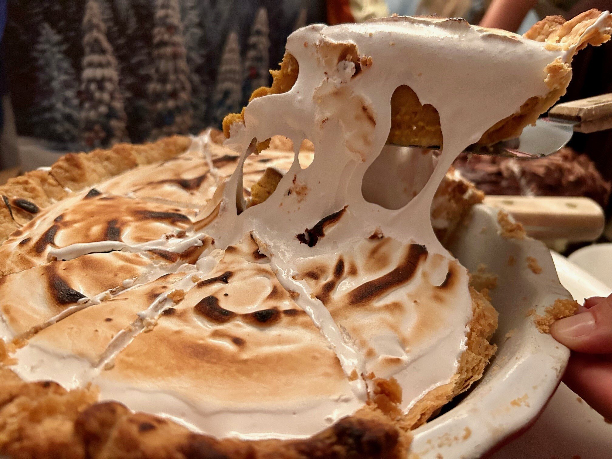 Butternut squash pie