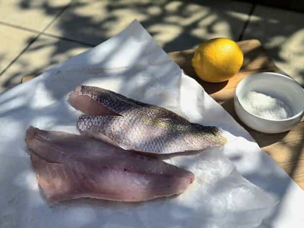 From Chicagoland to the Coast: Finding the Freshest Catch