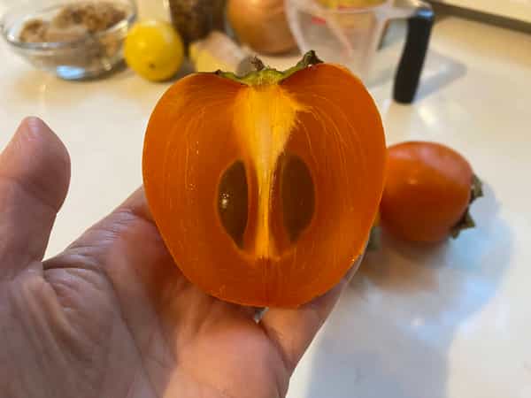 hachiya persimmon