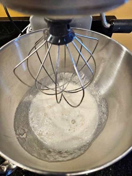Mixer with whisk