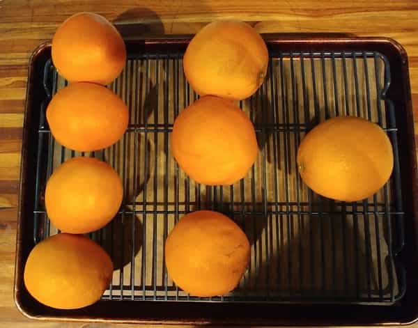 Oranges on rack