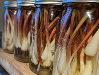 Pickled ramps