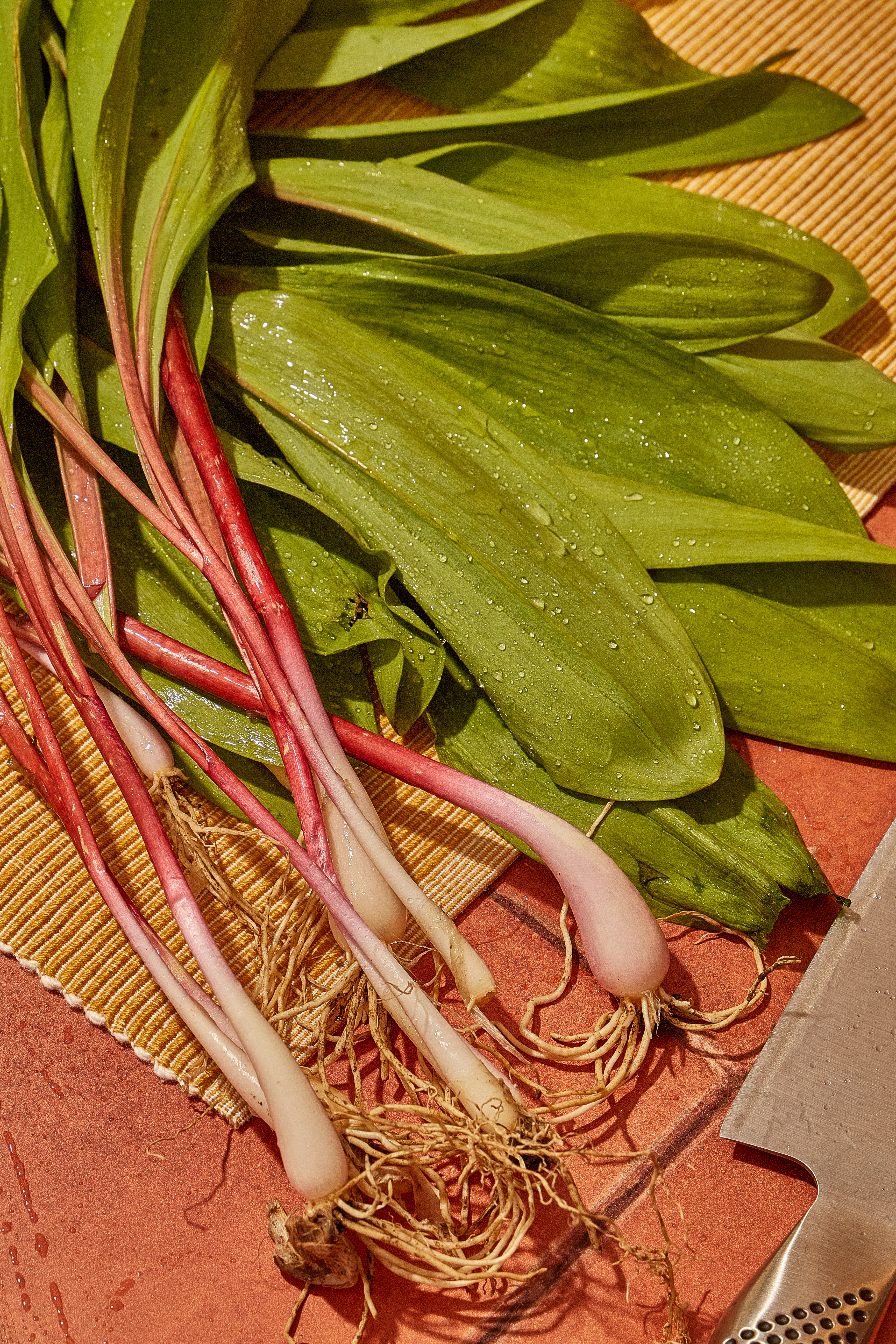 Ramps