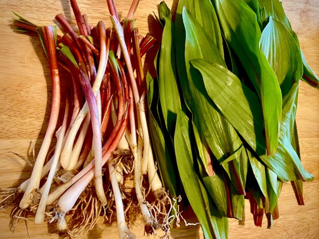 Ramps