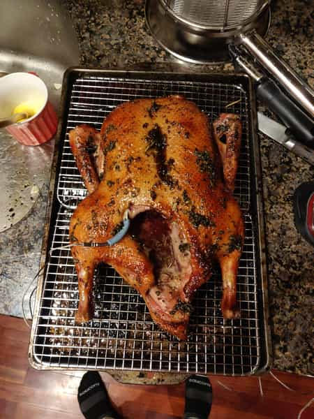 Roasted Duck