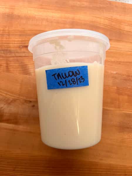 Tallow in container