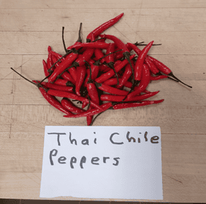 thai chile peppers