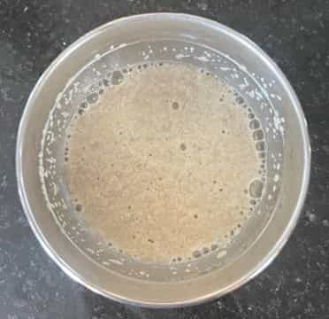 Yeast is alive