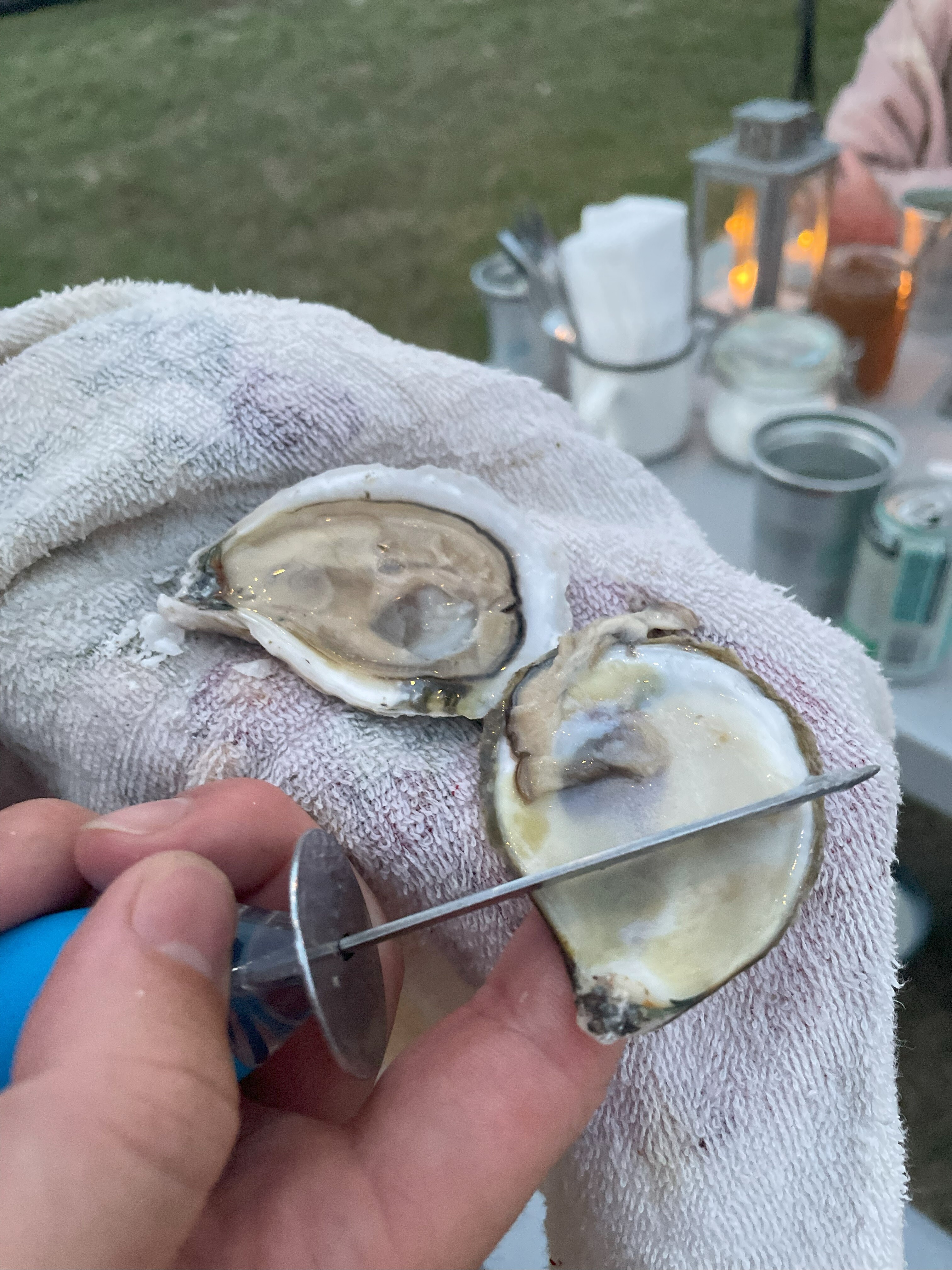 Shucked oyster