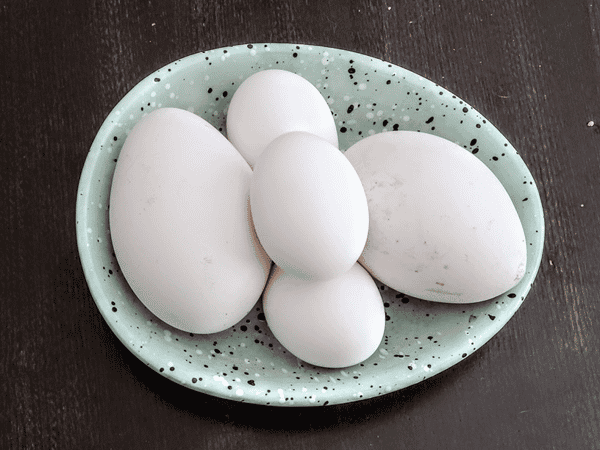 Goose eggs & chicken eggs