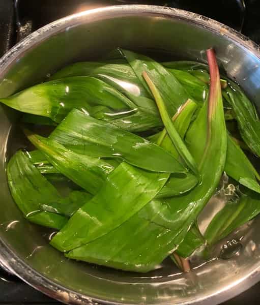 Ramps in bowl of water